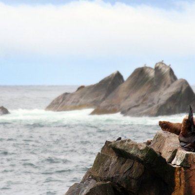 alaskan_sea